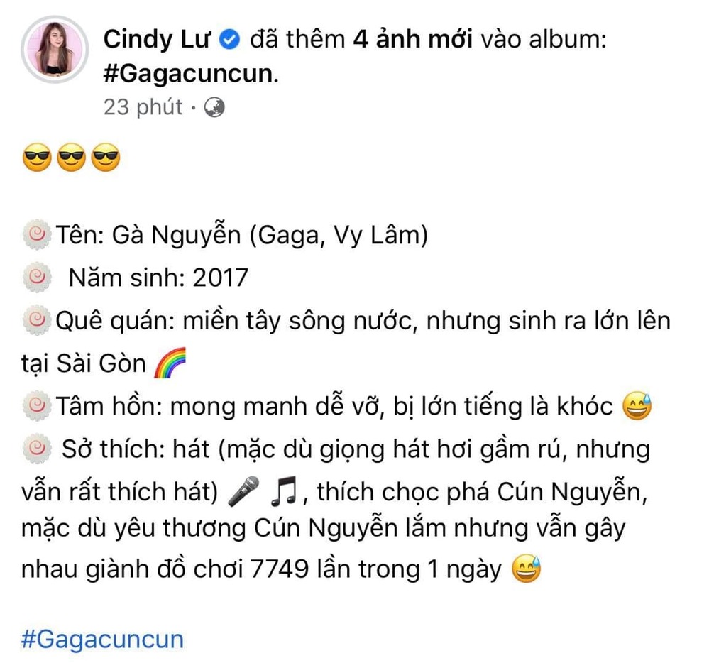 Cindy Lư viết profile của tiểu công chúa. (Ảnh: Chụp màn hình)