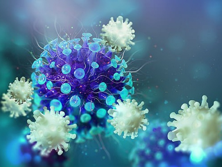 CDC Mỹ chỉ bạn cách giảm nồng độ virus SARS-CoV-2 trong nhà - Ảnh 3