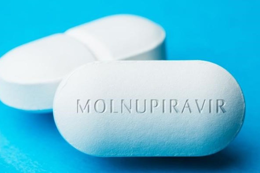 Thuốc Molnupiravir là gì, hiệu quả trong việc điều trị Covid-19 ra sao? - Ảnh 3