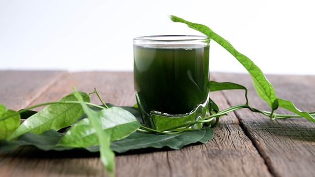 Diệp lục Collagen có tốt không?