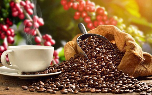 Giá cà phê hôm nay 11/11: Tăng 600 đồng/kg - Ảnh 2