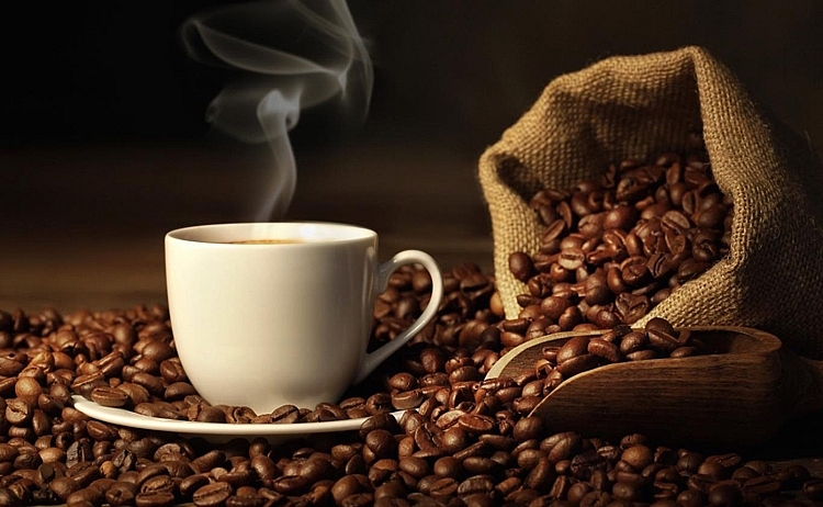 Giá cà phê hôm nay 11/11: Tăng 600 đồng/kg - Ảnh 3