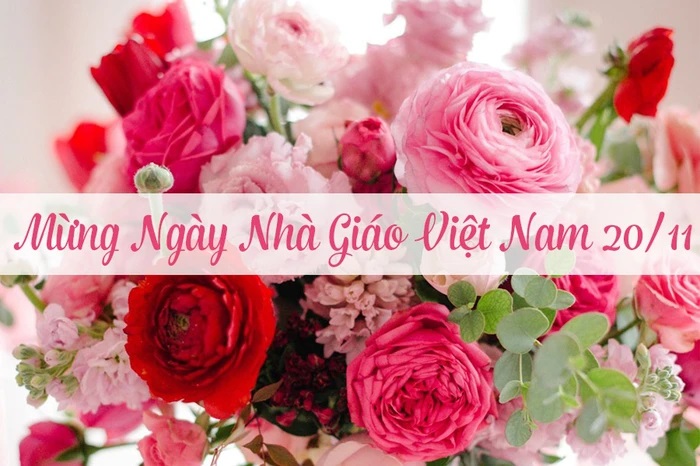 Những bài thơ hay về ngày Nhà giáo Việt Nam 20/11