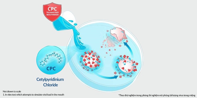 Súc miệng bằng nước công thức CPC giảm lây nhiễm biến thể SARS-CoV-2 đến 99,9% sau 30 giây - Ảnh 2