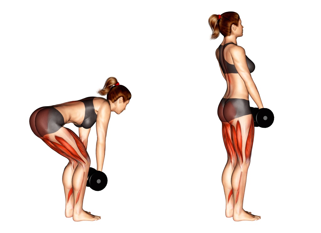 4 bài tập mông để có vòng 3 trái đào mà không cần squat, không đau khớp gối - Ảnh 4