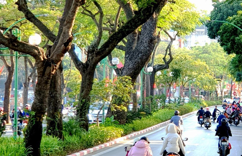 "Rét nàng Bân" tại các tỉnh miền Bắc bao giờ chấm dứt?