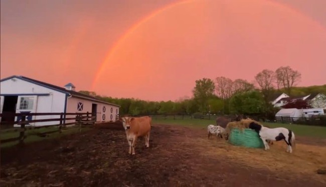 Sau cơn dông bão, cầu vồng kép xuất hiện trên bầu trời - Ảnh 1