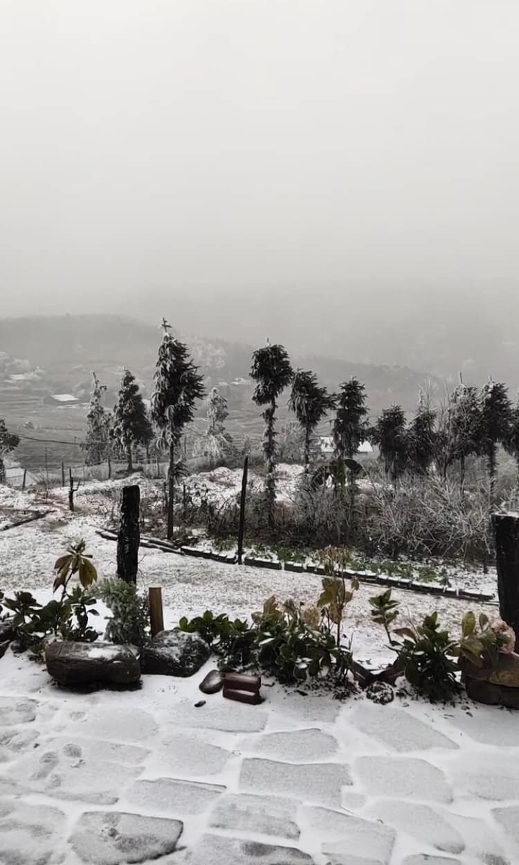 Khoảng gần 4h sáng ngày 11/1, tuyết bắt đầu rơi nhiều tại Y Tý ( ảnh từ FB Thiên Bằng)