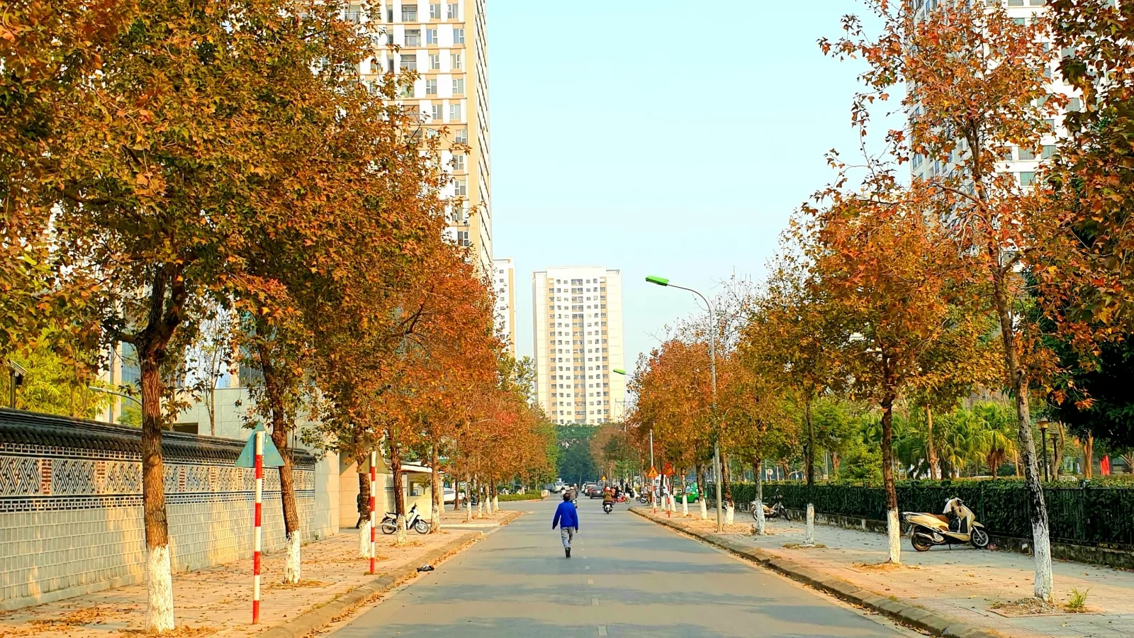 Con đường lá phong đẹp như ở Hàn Quốc giữa thủ đô