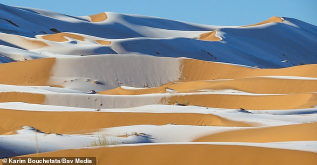 Ngoạn mục cảnh tuyết rơi trên cát tại sa mạc Sahara