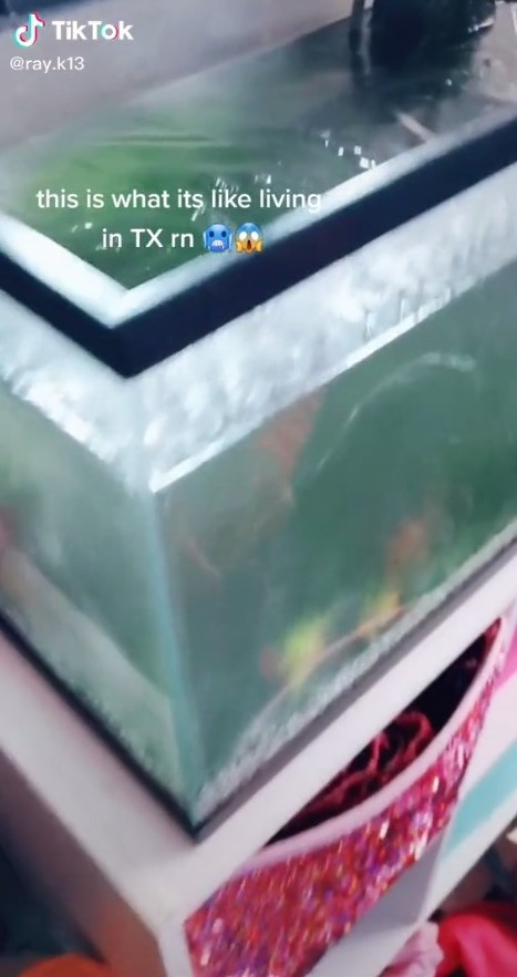 Chiếc bể cá đóng băng trong phòng con gái lớn của Reni (ảnh cắt từ clip).