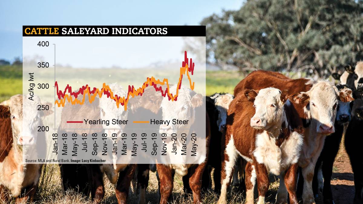 Giá nhập khẩu thịt bò Úc đang cao ngất ngưởng.