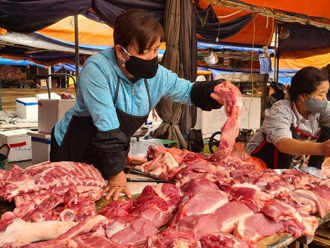 Giá thịt lợn hơi 23/3: Thị trường ổn định, giảm nhẹ tại một vài địa phương - Ảnh 2