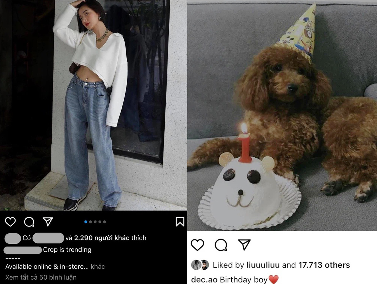 Hình ảnh Châu Bùi vẫn xuất hiện trên shop thời trang của Decao, cả hai còn cùng chúc mừng sinh nhật chú chó cưng nuôi chung khi còn yêu nhau.