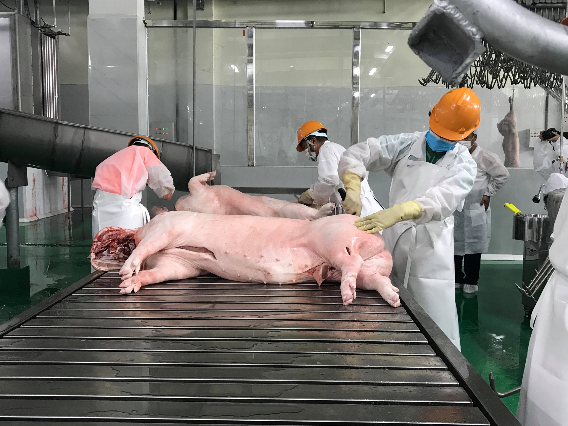 Giá thị lợn hôm nay 7/4: Thịt lợn bán lẻ tăng nhẹ, thịt lợn hơi lên xuống trái chiều - Ảnh 2