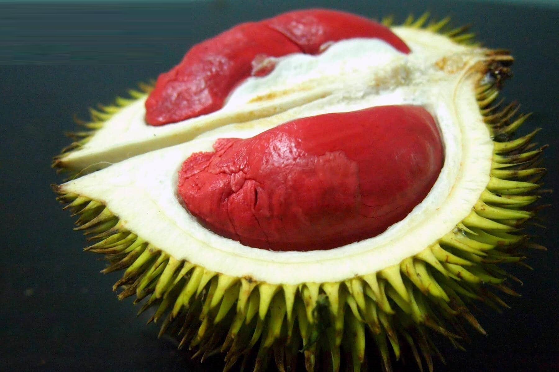 Màu đỏ bắt mắt của loại sầu riêng độc đáo.
