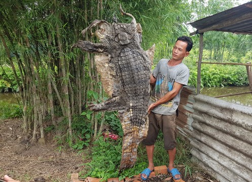 Anh Thanh giữ lại bộ da con cá sấu để làm kỷ niệm.