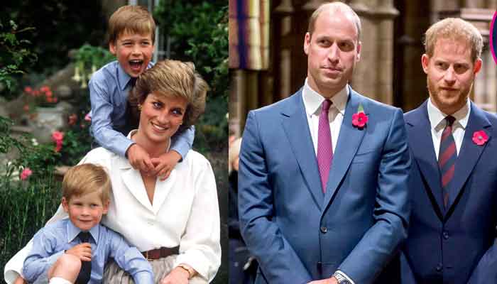 Anh em William, Harry lên án BBC có liên quan đến cái chết của Công nương Diana