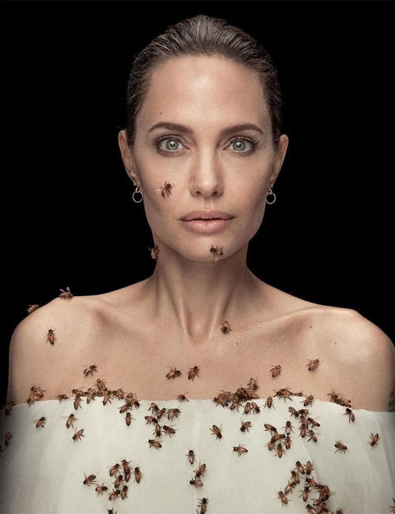 Bức hình táo bạo của Angelia Jolie nhân ngày Ong thế giới 20/5.