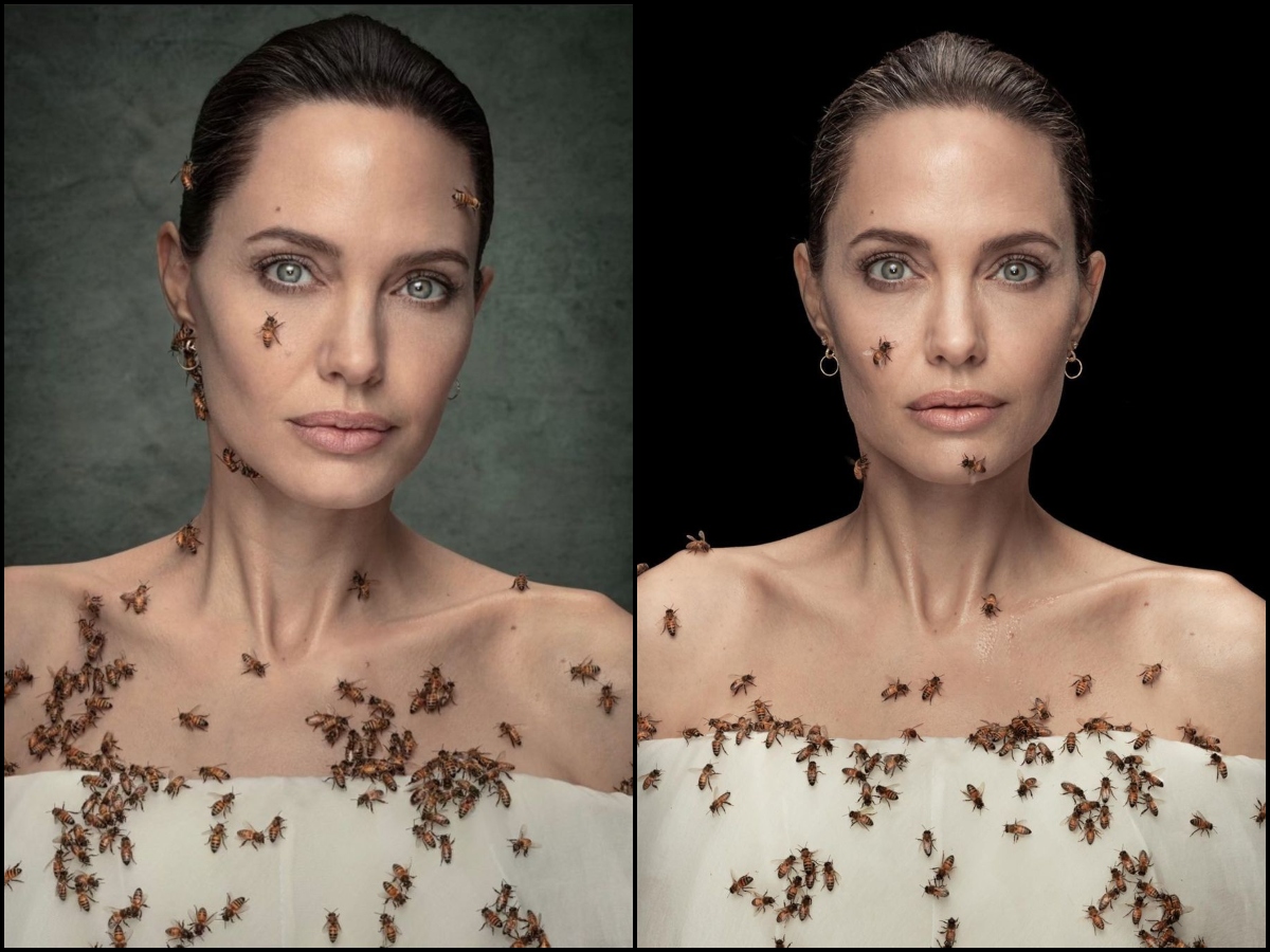 Angelina Jolie chụp hình cùng ong mật mà không cần mặc đồ bảo hộ - Ảnh 2
