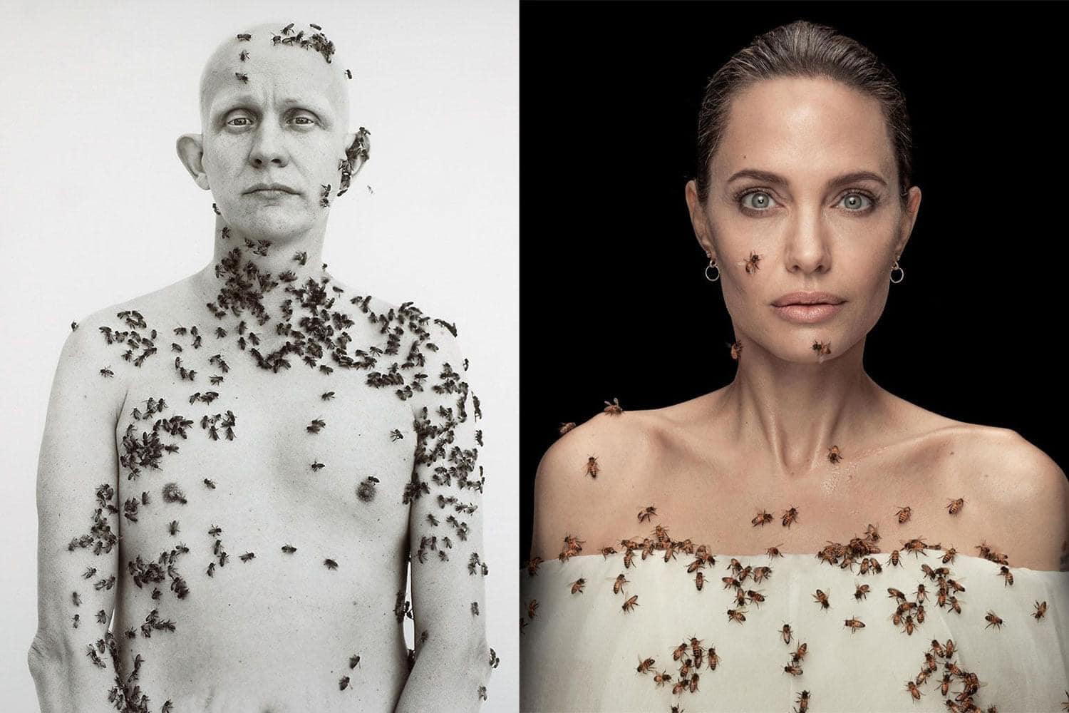 Cảm hứng cho bức hình của Angelian Jolie đến từ bức ảnh chân dung The Beekeeper của nhiếp ảnh gia Richard Avedon chụp năm 1981.