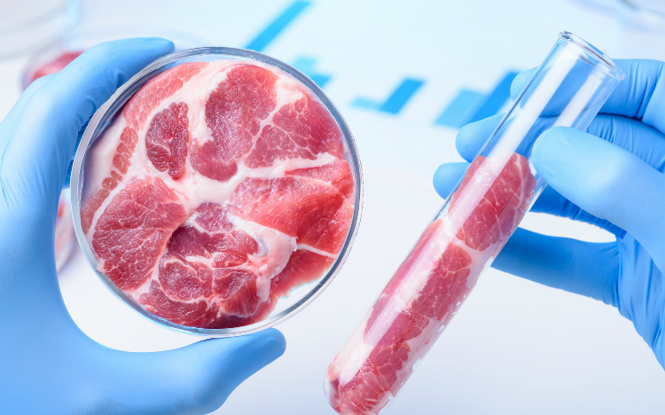 Nhật Bản bước đầu tạo nên thịt bò Wagyu từ công nghệ in sinh học 3D (hình minh họa).