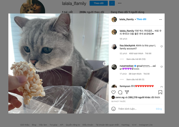 Instagram mới của Lisa đăng ảnh chú mèo Louis nhanh chóng thu về hàng trăm nghìn người theo dõi.