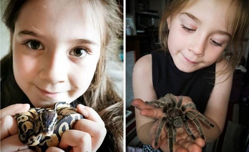 Bé gái nuôi 50 con nhện, rắn, bọ cạp trong phòng ngủ - Ảnh 2