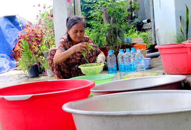 Khánh Hòa: Hàng trăm người dân kêu cứu vì thiếu nước sạch