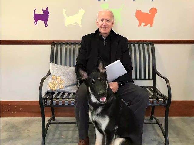 Joe Biden cùng chú chó cưng của mình.