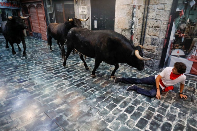 Những con bò tót giả được trưng bày ở Pamplona, Tây Ban Nha.