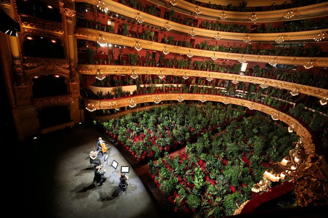 Một nhà hát tại Tây Ban Nha đã tổ chức một buổi hòa nhạc với sự góp mặt của... 2.300 chậu cây.