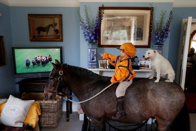 Cậu bé và chú chó ngồi trên lưng một chú ngựa trong nhà để xem đua ngựa.