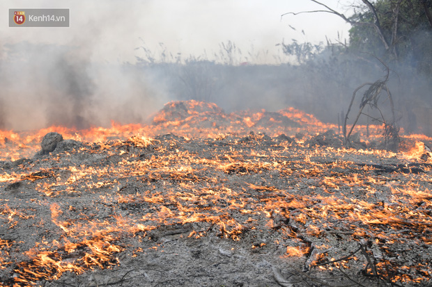 Hà Nội: Cháy lớn ngay dưới chân cầu Thanh Trì