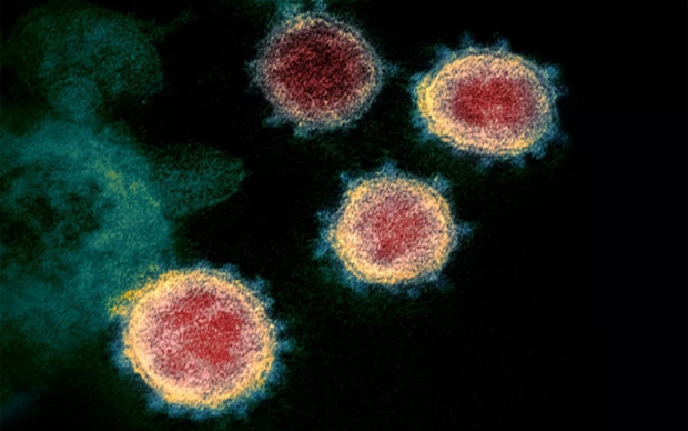 Đại diện Bộ Y tế Bỉ khẳng định, biến thể virus mới SARS-CoV-2 ở Anh gần như đã lan ra khắp toàn cầu.