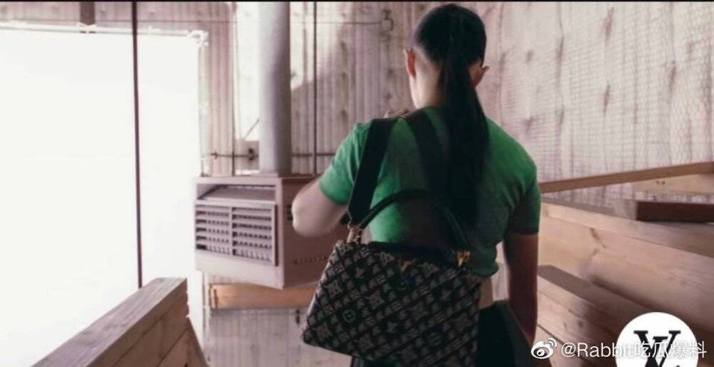 Bộ ảnh chụp quảng bá Louis Vuitton mới đây của Lưu Diệc Phi đã hứng phải nhiều chê bai của cư dân mạng về vóc dáng ngấn mỡ.