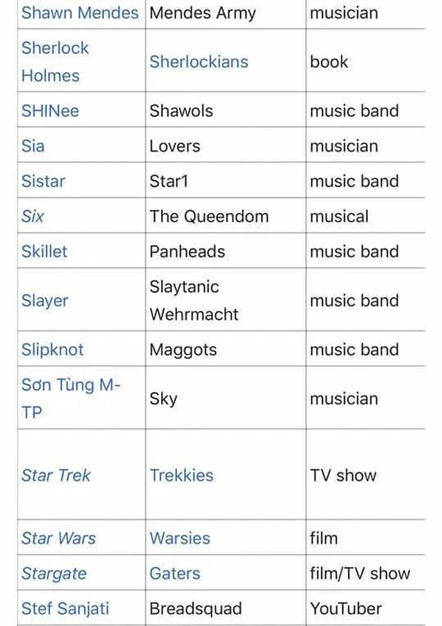 Sơn Tùng cùng fandom Sky của anh đã được vinh danh là đại diện Việt Nam duy nhất xuất hiện trong một bảng xếp hạng của Wikipedia (tiếng Anh)