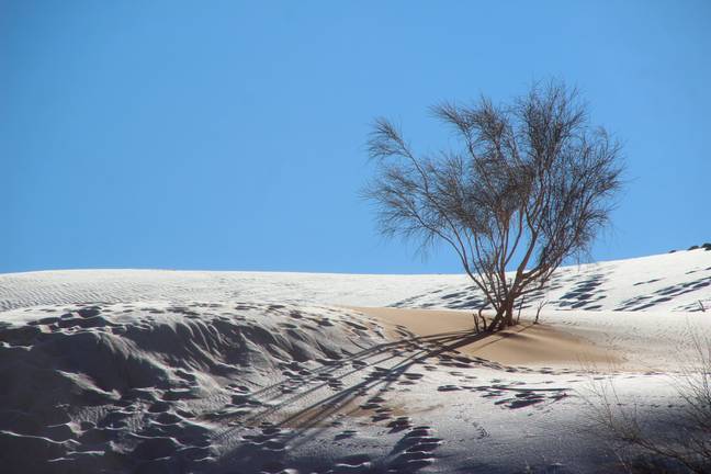 Cảnh tượng sa mạc Sahara phủ đầy tuyết trắng được một nhiếp ảnh gia chụp lại được.