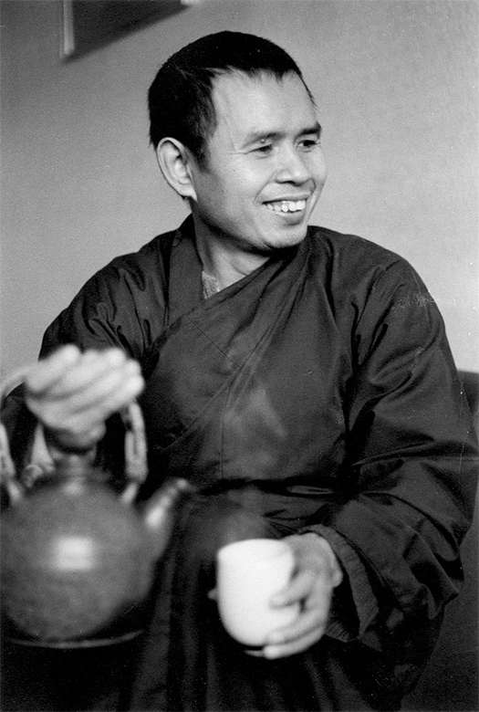 Ngoài được biết đến là một thiền sư, Thiền sư Thích Nhất Hạnh còn là một giảng viên, nhà văn, nhà thơ