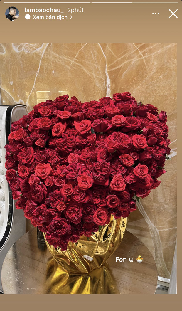 Lâm Bảo Châu đã chuẩn bị một bó hoa hồng đỏ rực rỡ kết hình trái tim, đồng thời bày tỏ tình cảm với cô trong ngày Valentine.  