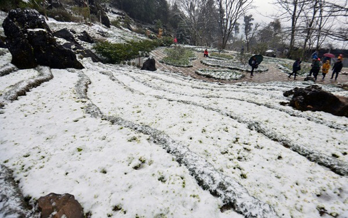 Rét đậm, rét hại rại vùng núi có khả năng kéo dài đến ngày 24/2.