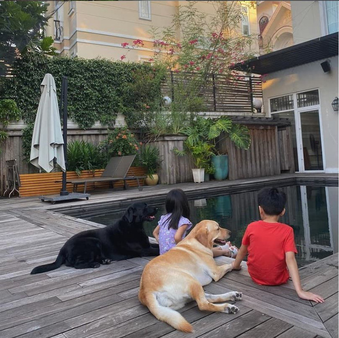 Không chỉ với các con nhỏ mà Hà Tăng còn thể hiện tình cảm cả với hai chú cún cưng April và Molly. 