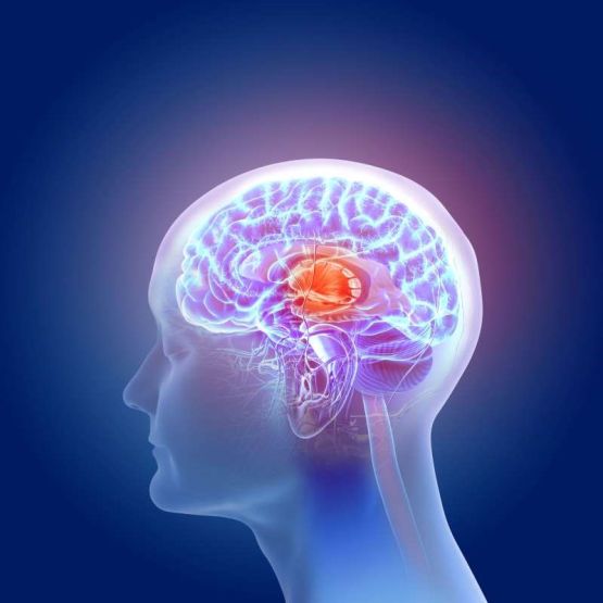 Những trường hợp nhiễm Covid-19 bị triệu chứng nhẹ cũng có thể khiến não bị tổn thương, đặc biệt là ở khu vực liên quan đến khứu giác.