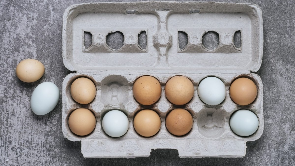 Trứng gà để ở nhiệt độ phòng được 7 - 10 ngày.