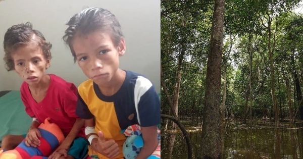 Hai bé trai sống sót kỳ diệu sau 4 tuần lạc trong rừng Amazon 