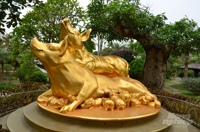Bộ tượng mạ vàng hình lợn trong khuôn viên của anh Chiến