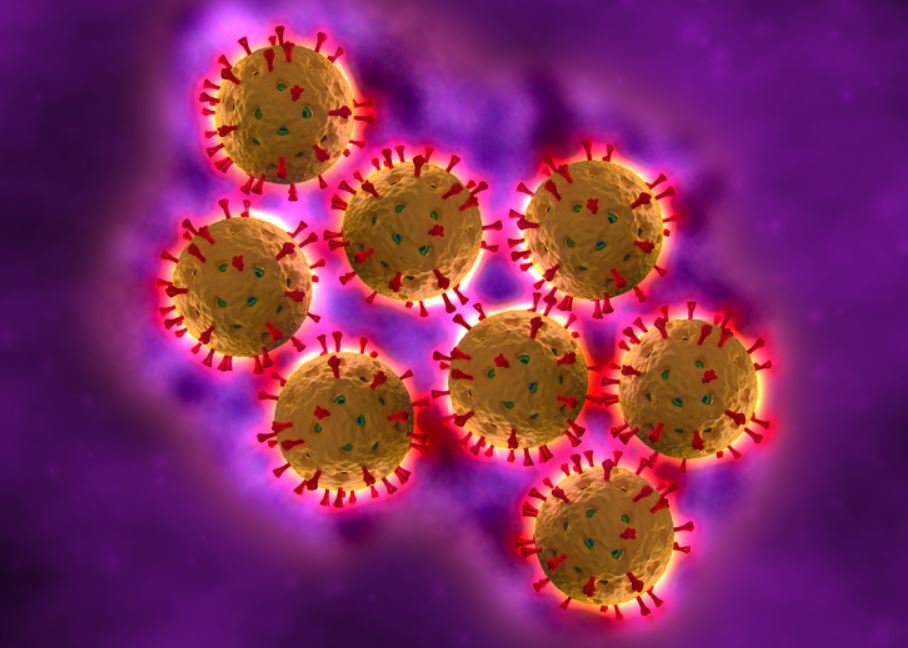 virus Rota đã gây ra 40% số ca nhập viện do tiêu chảy ở trẻ em dưới 5 tuổi trên thế giới