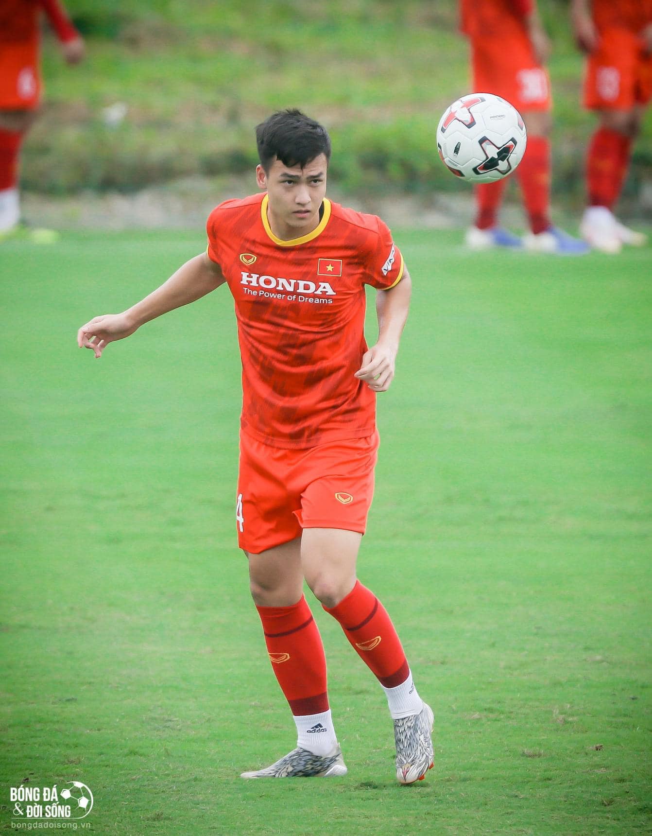 Bùi Hoàng Việt Anh là ai? 