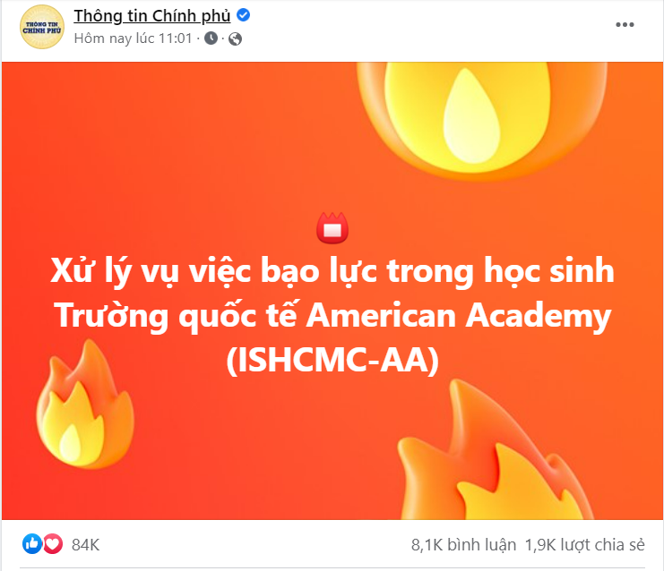 Fanpage Chính phủ yêu cầu xử lý vụ việc bạo lực học đường tại trường học quốc tế   - Ảnh 4