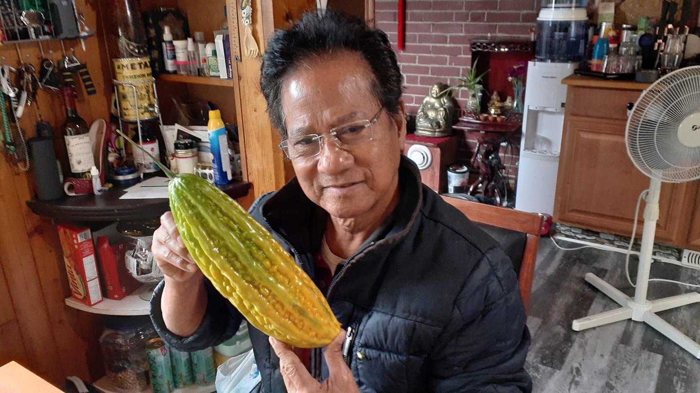 Danh ca Chế Linh 80 tuổi mà trẻ như 50, hạnh phúc kín tiếng bên vợ thứ 4 kém 10 tuổi - Ảnh 4